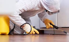 Best Emergency Pest Control  in Norridge, IL